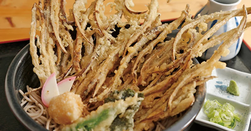 Tempura & Soba Ishioka